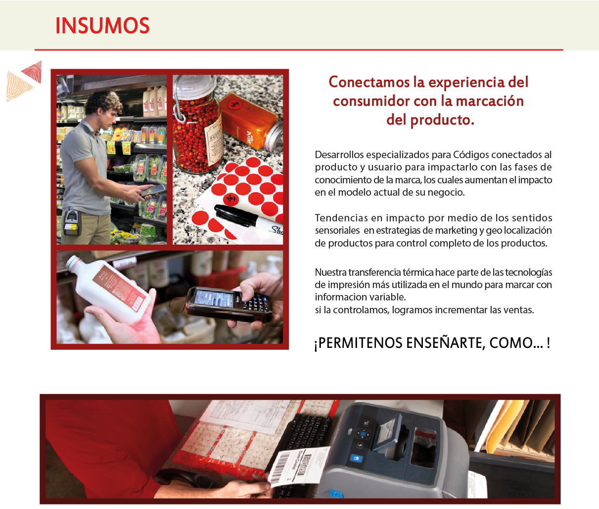 IMAGEN INSUMOS