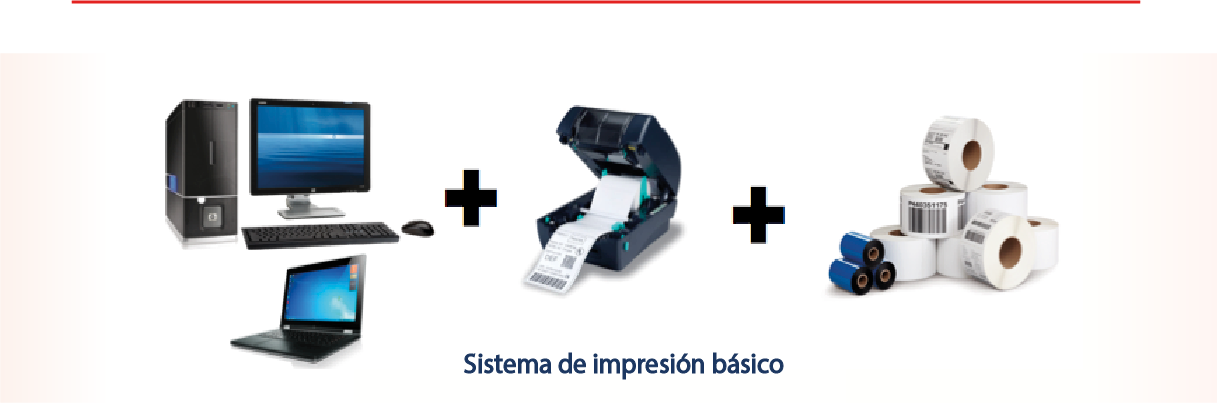 IMAGEN SERVICIOS